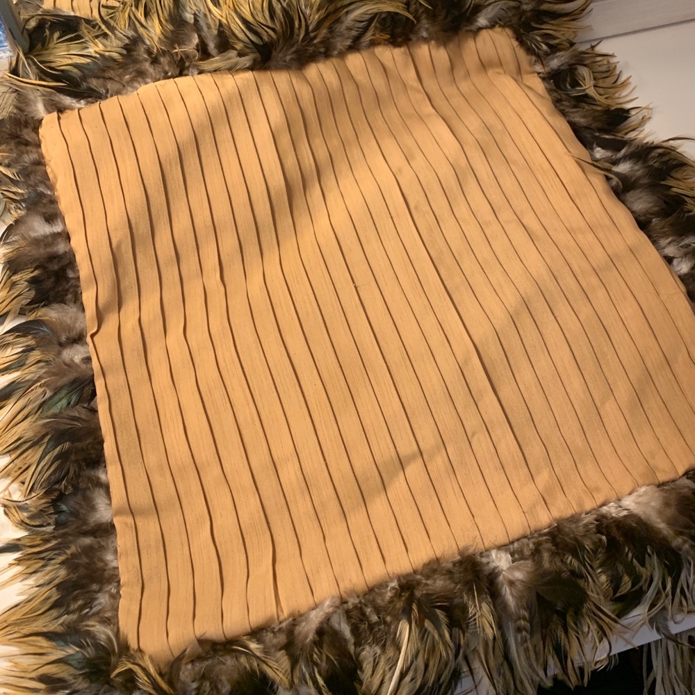 Decorative Accent Pillow with Feather Trim